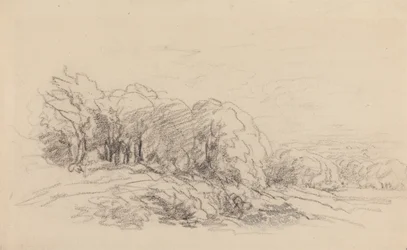 Landscape with Trees